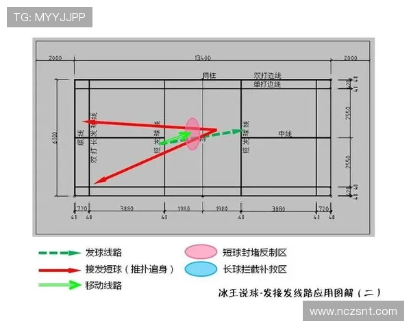 深圳羽毛球队战术表现数据分析与比赛策略优化研究
