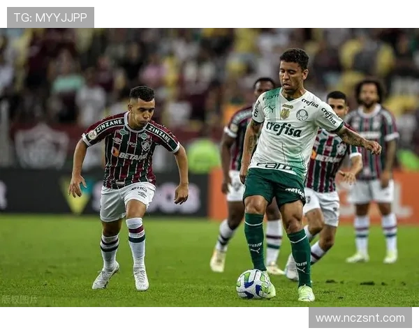 2018年帕梅拉斯与累体育激战回顾：精彩瞬间与战术分析